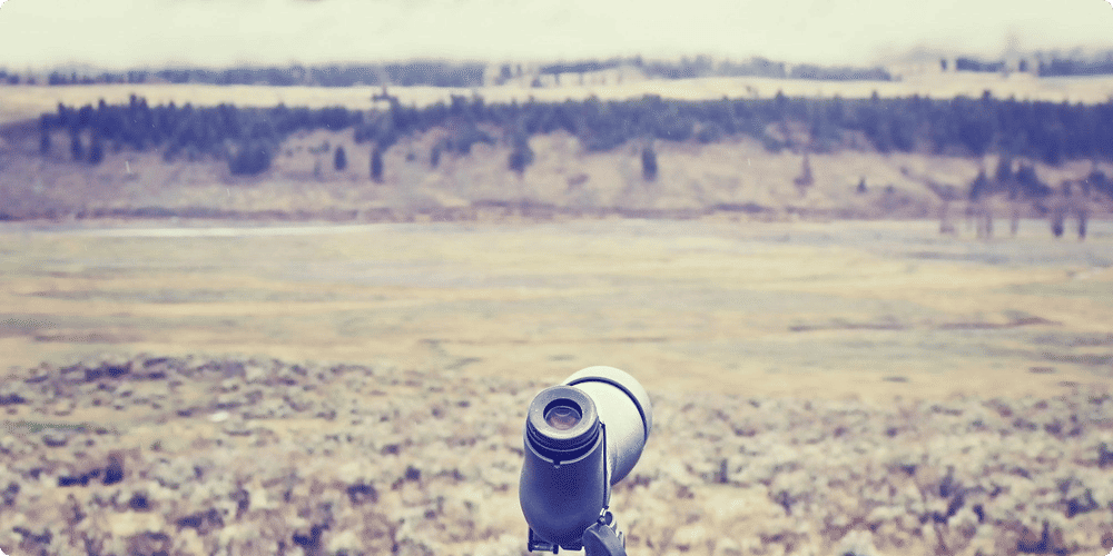 Guide complet sur les filtres polarisants pour télescopes